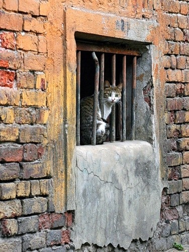 Безымянный