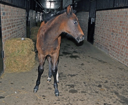 "Та я так.... плюшками бавлюся..."