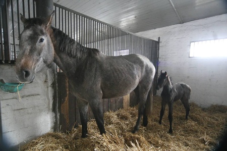 Цій малечі декілька днів